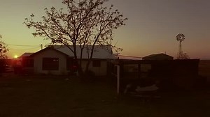 Near Dark (1987 ) Adrian Pasdar, Jenny Wright, Lance Henriksen