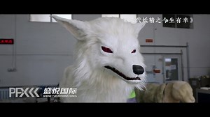 2019 盛悦国际宣传片