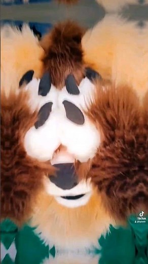 Adorable Fursuit 💚💜 #furry #fursuit #fursuiting #fursuiter #positivevibes #wholesome #costume #cute