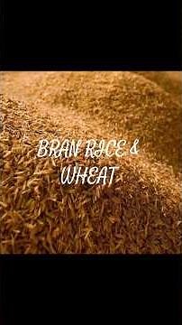 Rice bran is the outer layer of the rice grain, rich in fiber, vitamins, and oils,