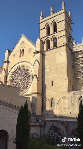 Montpellier Tourisme sur TikTok