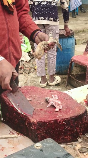 batter ye quail cuting