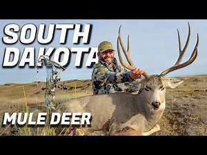 CHAD MENDES SPOT & STALK ARCHERY MULE DEER| SOUTH DAKOTA