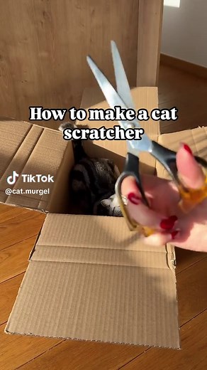 Easy DIY Cat Scratcher Tutorial for Your Kitty