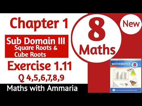 Class 8 Math Chapter 1 Exercise 1.11 Q4 to Q9 solved | 8th Class Math Ex 1.11 solution | New Book