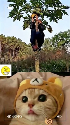 This is so funny, l couldn't stop laughing #funny #funnyvideos#duet #foryou #pov #viral