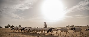 Where Climate Change Is Reality: Supporting Africa’s Sahel Pastoralists to Secure a Resilient Future