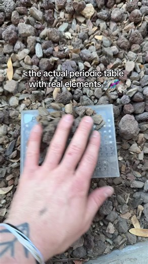 Exploring the Real Value of Chemical Elements