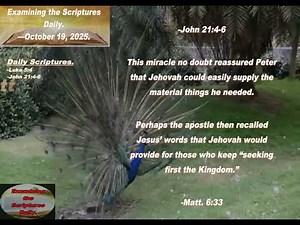 Examining the Scriptures Daily—October 19_ 2025