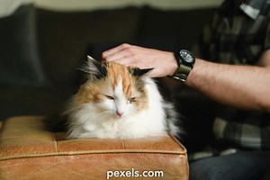 Free Woman+Shirt+Button+Pop+Revealin+Full+Breasts+Gif Videos