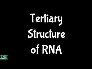 RNA Tertiary Structure |