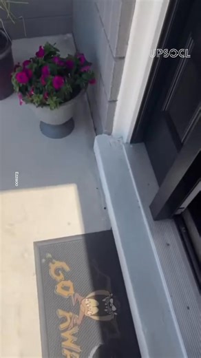 500K views · 6.2K reactions | “¡Es solo mi amigo de Xbox!”... Él dejó de contestar sus mensajes así que ella lo buscó, pero en vez de encontrarlo en cosas buenas, descubrió que, sin importar su embarazo, su esposo ya tenía un nuevo “amor”. | Upsocl Comunidad | Facebook