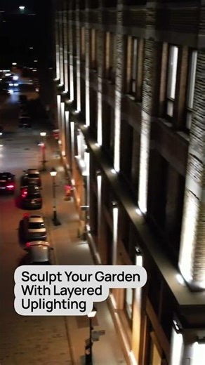 Creative Uplighting Ideas for Outdoor Spaces