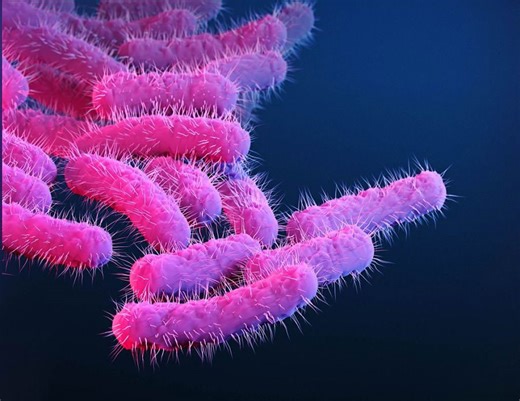 Cases of drug-resistant infection that causes diarrhea are rising: What to know