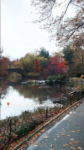 Autumn in Central Park NYC 🍁🍂✨ Raw video | Fall Magic in Manhattan