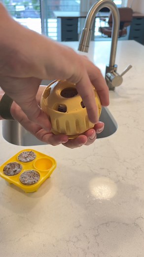 82K views · 258 reactions | Named Best Enrichment Toy of 2023, the...