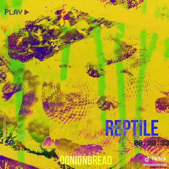 Experience Nine Inch Nails Live Concert