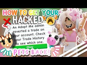 HOW TO GET YOUR HACKED/SCAMMED PETS BACK‼️