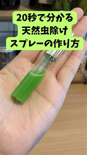 20秒で分かる！天然虫除けスプレーの作り方🌿#天然虫除け #夏の虫対策 #虫除けハーブ #ローズマリー #ローズマリーチンキ