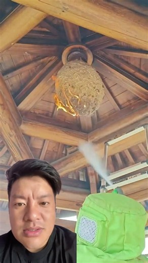 Wasp Nest Removal Made Easy! 😱🐝 #WaspRemoval #PestControl #shortsfeed