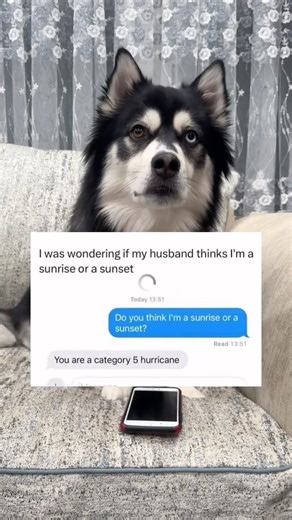 Should I start boarding up the windows or apologizing? 🌪️😅