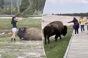 Today's Video Headlines