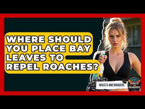 Where Should You Place Bay Leaves To Repel Roaches? - Insects and Invaders