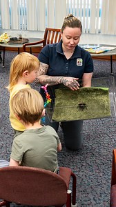 Did you know the BioPark visits Albuquerque libraries to read fun animal stories, and share artifacts? You might even get to meet one of our animals! 🐾📖 | ABQ BioPark
