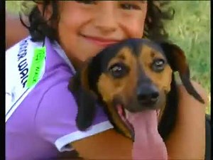 Barney's Fun City with Let's Go to the Firehouse