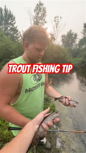 How to Catch a Trout #fishing #duncancreekoutdoors #trout fishing #fishingtips #fishingfail #trout