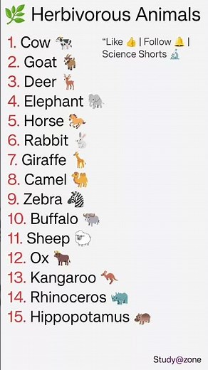 🌿 “Top Herbivorous Animals You Must Know! 🐘🦒🐇”
