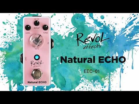 【RevoL effects】Natural ECHO EEC-01 エフェクター