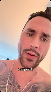 can any cat parent relate ? | dancatdad