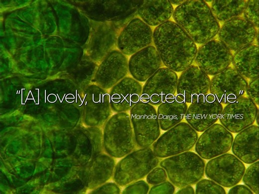 Here - Official U.S. Trailer