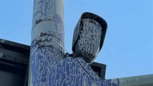 Flock cameras in Oakland vandalized with paint