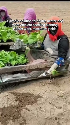 Manual Vegetable Seedling Planter Based on a Sliding Platform