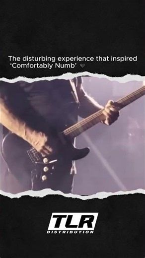 The Real Story Behind Pink Floyd’s “Comfortably Numb” 🖤🎸 #shorts