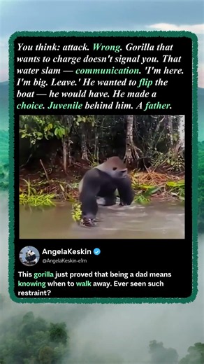 Why This Gorilla Didn't Attack! 🦍 #Nature #Animals #Wildlife