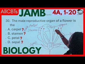40 Most Likely JAMB 2026 BIOLOGY Questions & Answers