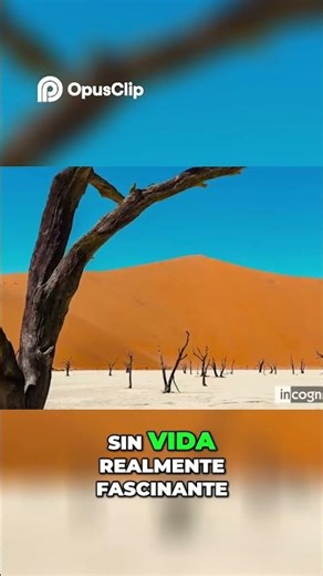 Namibia El Fascinante Desierto de Dyadbley#desierto #mundo #facts
