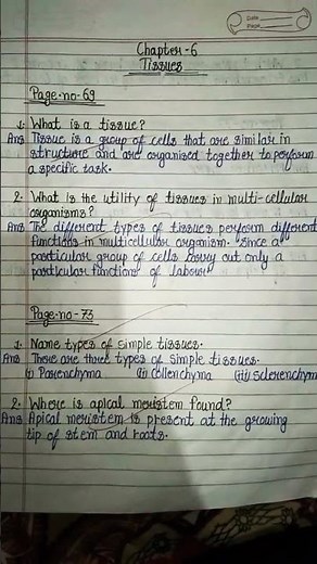😇NCERT science class - 9 chapter -6 tissues intext questions short answer #rp study official😇