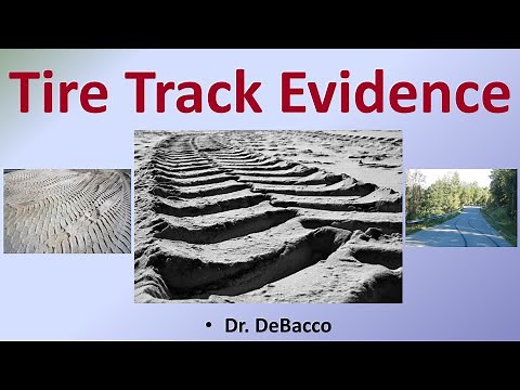 Tire Track Evidence