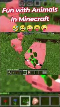 Fun With Animal In Minecraft #minecraft #minecraftshorts #minecraftmeme #minecrafthighlights