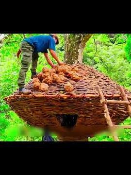 This Man Built a Floating Tree Shelter to Escape Wild Boars