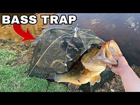 FISH TRAP for MASSIVE BASS FISH!