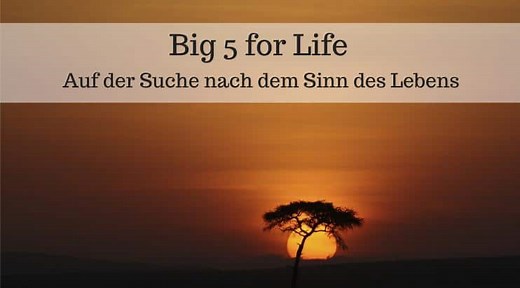 Gestalte dein Leben mit den Big Five for Life   Beispiele