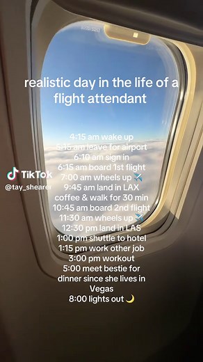 Efficient Layovers: A Flight Attendant's Day