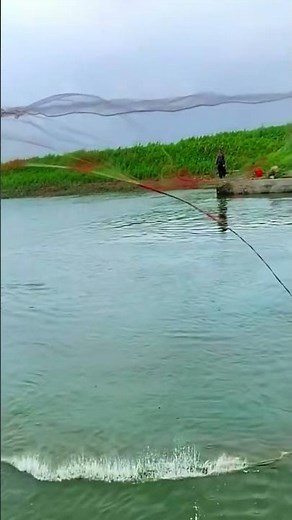 how to throw a casting net #fishing #net #fishinglife