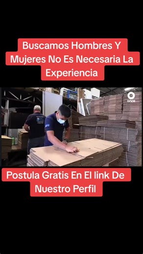 Ofertas de Empleo y Oportunidades de Emprendimiento