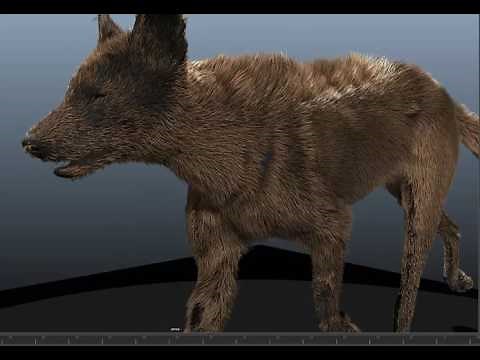 Maya 2017 - Future of Hair Fur grooming using Xgen